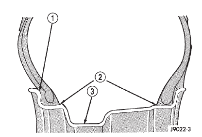 Fig. 1 Safety Rim